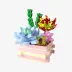 Succulent Garden Something Blue